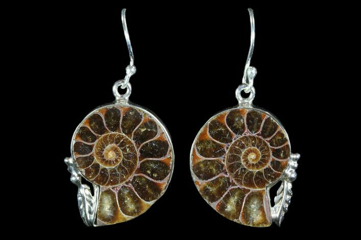 Fossil Ammonite Earrings - Sterling Silver #81616